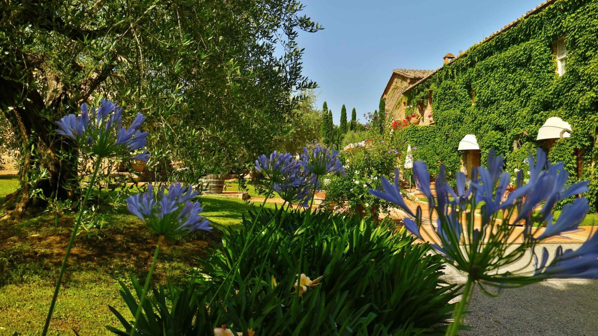 Agriturismo La Sovana Sarteano Exterior foto